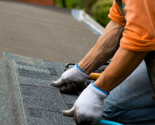 Best Roof Gutter Cleaning  in Golden Gate, FL